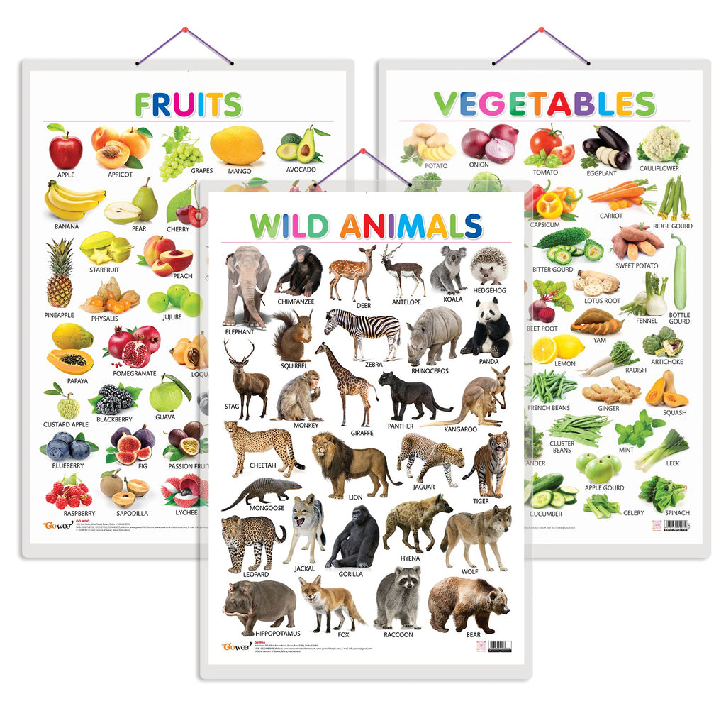 JoGenii Set of 3 Fruits Vegetables and Wild Animals Early Learning jogenii-set-of-3-fruits-vegetables-and-wild-animals-early-learning