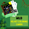 PepPlay Velvet Colouring cards – Wild