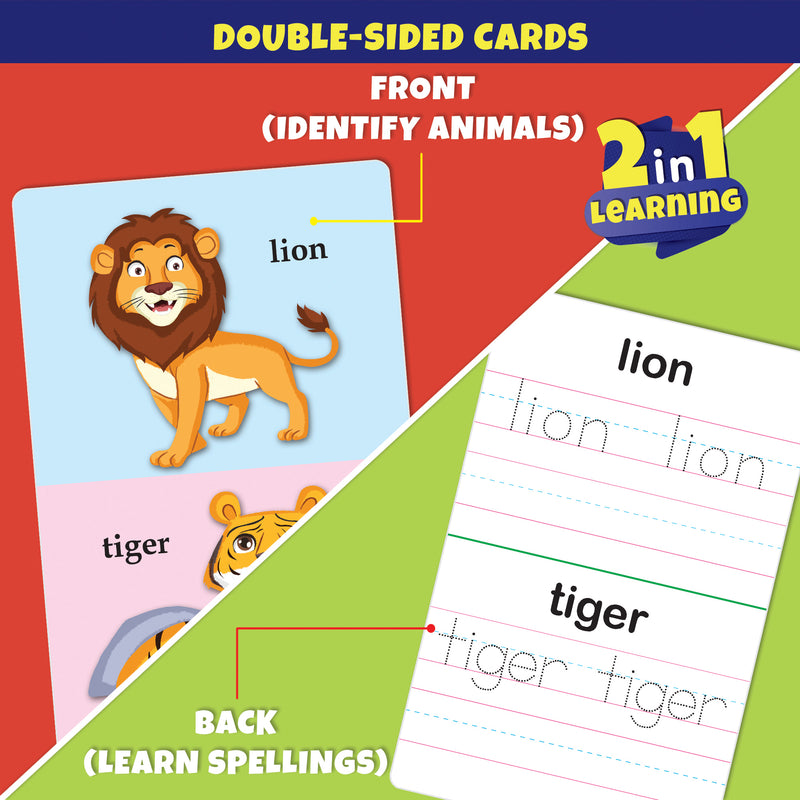 Little Berry ANIMALS Write & Wipe Jumbo Flash Cards (With Marker Pen) - Educational Toy