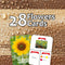 Clapjoy Flowers  flash card for kids of age 2 years and Above