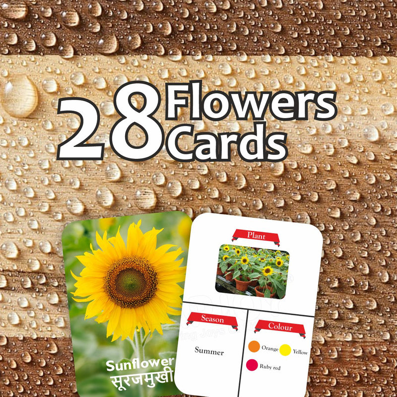 Clapjoy Flowers  flash card for kids of age 2 years and Above