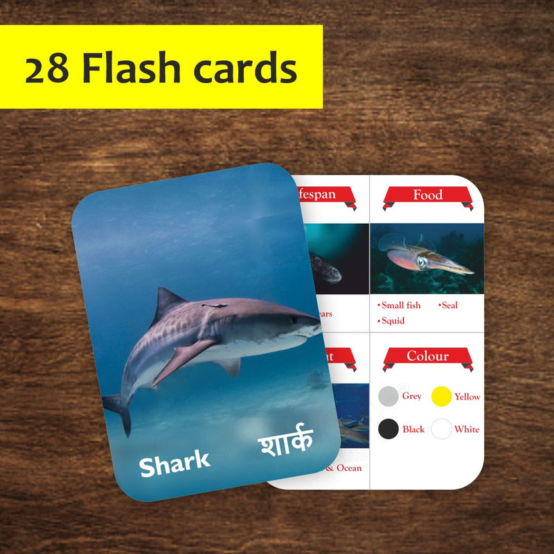 Clapjoy Sea Creature flash card for kids of age 2 years and Above