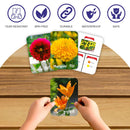 Clapjoy Flowers  flash card for kids of age 2 years and Above