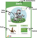 ALL ABOUT ANIMALS FLASHCARD