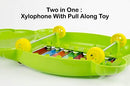 Panda Xylophone 2 in 1 Musical Toy & Pull Along Toy for Kids 2 - 4 Years with 8 Notes Non Toxic no Batteries (Colour May Vary)