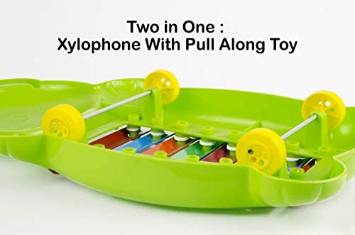 Panda Xylophone 2 in 1 Musical Toy & Pull Along Toy for Kids 2 - 4 Years with 8 Notes Non Toxic no Batteries (Colour May Vary)
