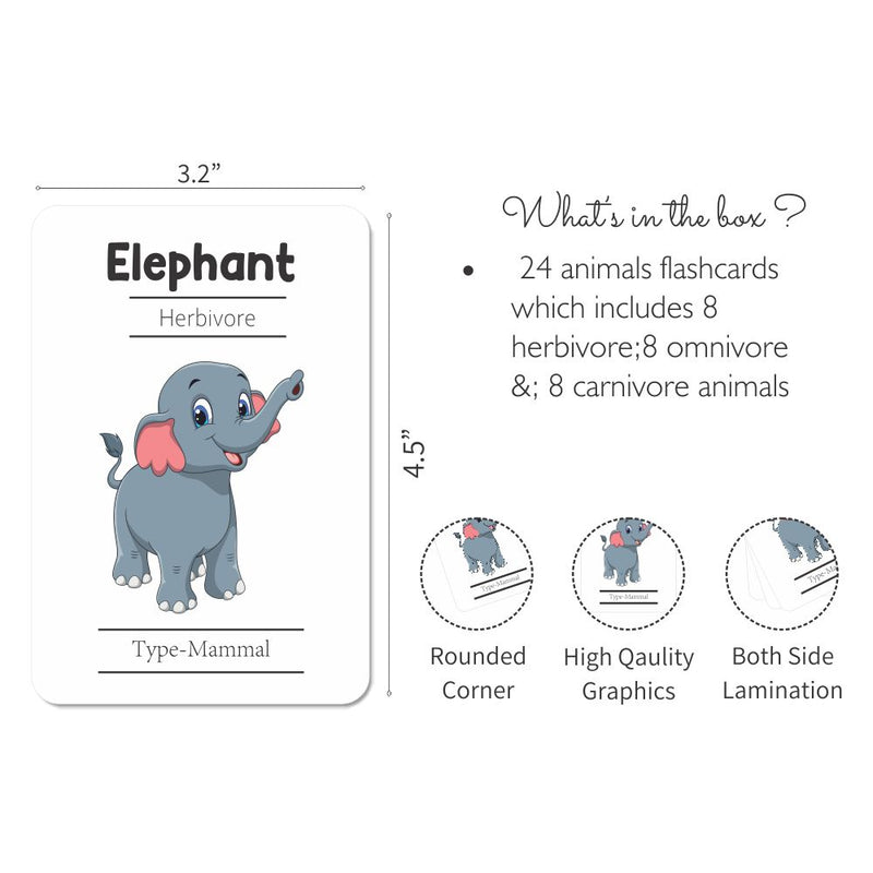 Animals Flash Cards - Pack of 24