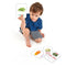 Clapjoy Double Sided Flash Cards for Kids (Z3- Fruits, Vegetable & Bird)