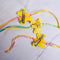 Clip Rakhi