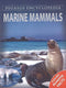 Marine Mammals: 1 (Sea World)