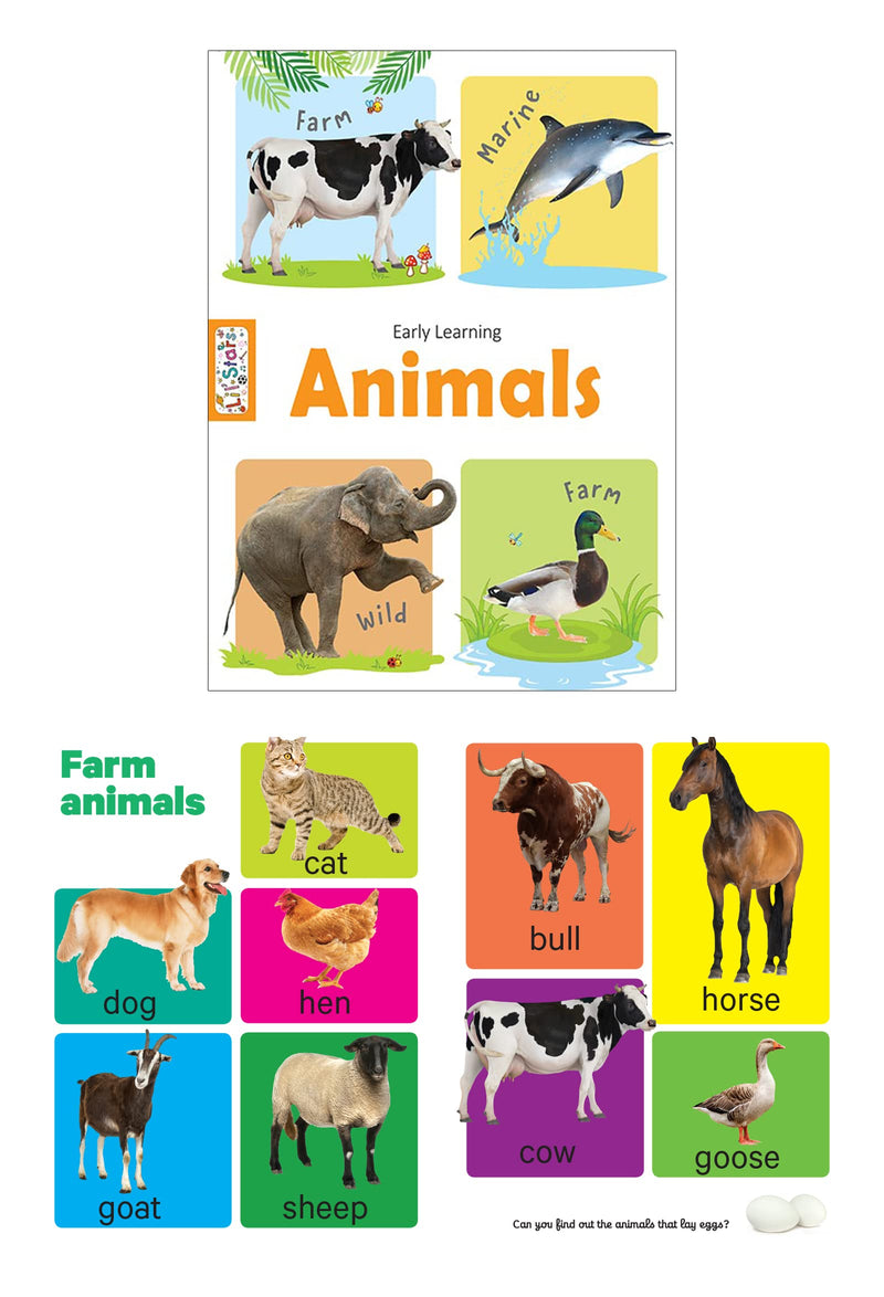 Early Learning Board Books Pack - Set of 8