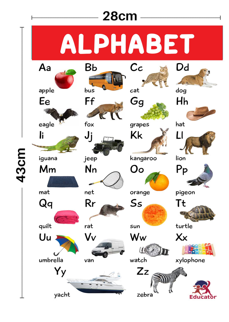 Early Learning Charts - 4 Jumbo Charts for Kids