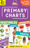 Primary Charts - 4 Jumbo Charts for Kids