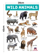 Animal Kingdom Charts - 4 Jumbo Charts for Kids