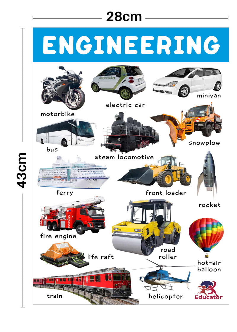 Stem Charts - 4 Jumbo Charts for Kids