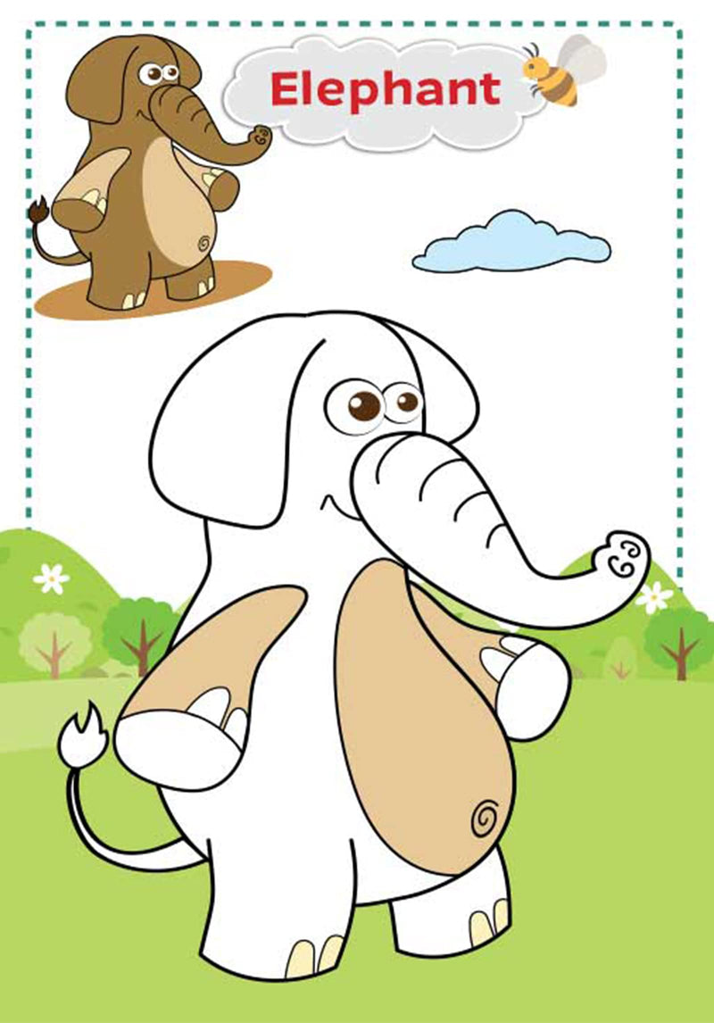 Super Jumbo Colouring Book (Animals & Birds)