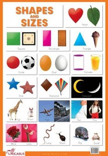 Shapes & Sizes - Thick Laminated Preschool Chart