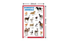 Domestic Animals - Thick Laminated Primary Chart