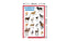 Domestic Animals - Thick Laminated Primary Chart