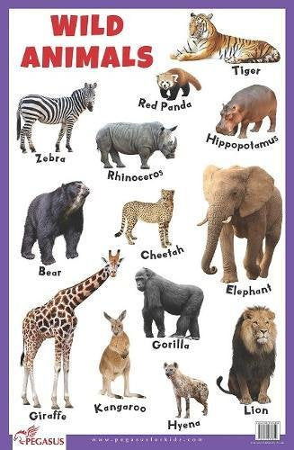 Wild Animals - Thick Laminated Primary Chart