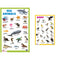 Sea Animals - Thick Laminated Primary Chart