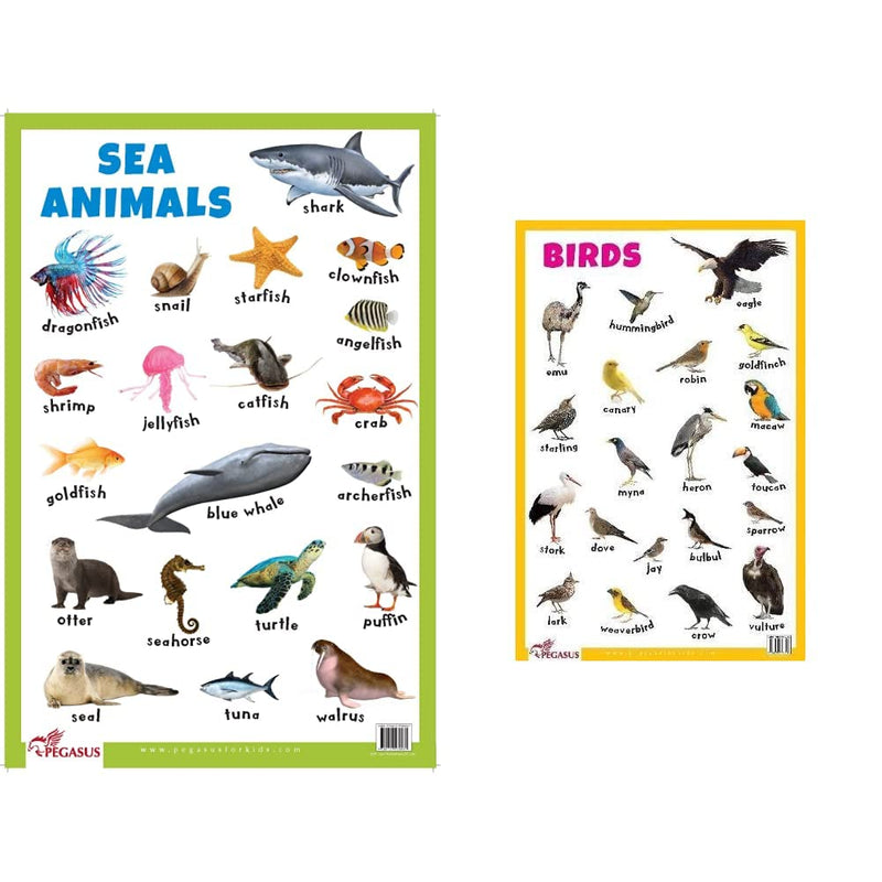 Sea Animals - Thick Laminated Primary Chart