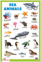 Sea Animals - Thick Laminated Primary Chart