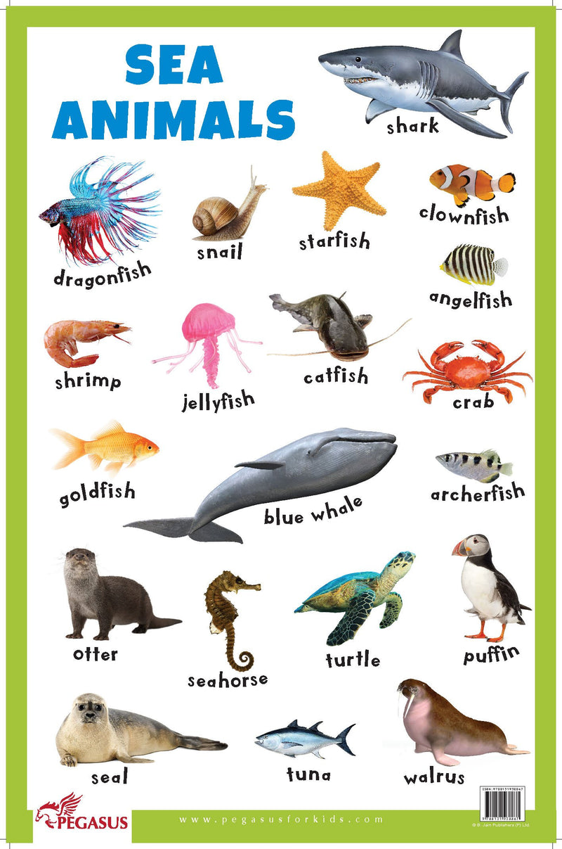 Sea Animals - Thick Laminated Primary Chart