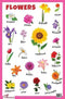 Flowers - Thick Laminated Primary Chart