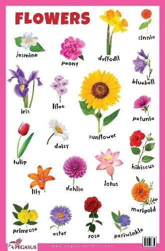 Flowers - Thick Laminated Primary Chart