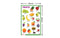 Fruits - Thick Laminated Primary Chart