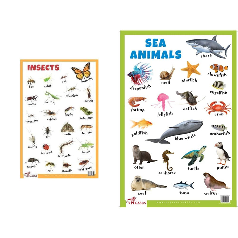 Insects - Thick Laminated Primary Chart