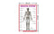 Skeletal System - Thick Laminated Primary Chart: Human Body Charts