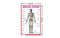 Skeletal System - Thick Laminated Primary Chart: Human Body Charts