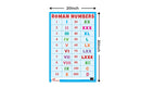 Roman Numbers - Thick Laminated Preschool Chart