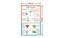 Plant & Butterfly Life Cycle Chart - Thick Laminated Chart