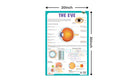 The Eye - Thick Laminated Chart