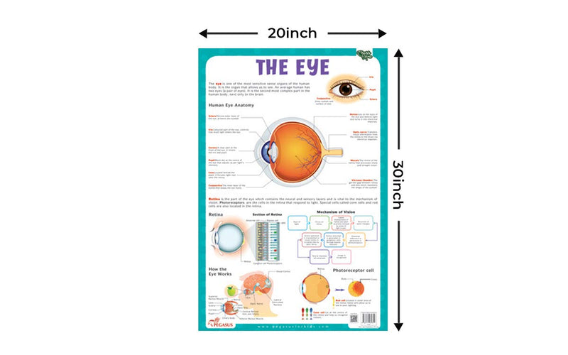 The Eye - Thick Laminated Chart