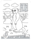 Jungle- It's Colour time with Stickers : Children Drawing, Painting & Colouring Book By Dreamland