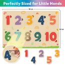 Little Berry My First Wooden Puzzle Tray (Set of 6): ABC, Numbers, Shapes, Fruits, Vegetables, Jungle Animals - Knob and Peg Puzzle Multicolour - 36 Pegs