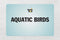 Aquatic Birds