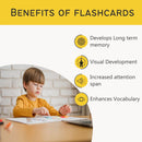 Birds Flash Cards for Kids- Pack of 24