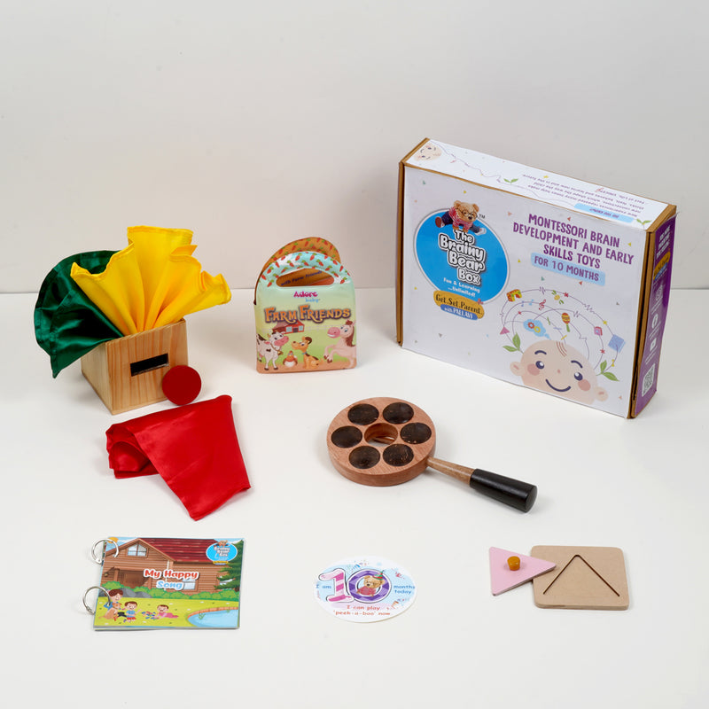 Montessori Activity Toys - 10 Months