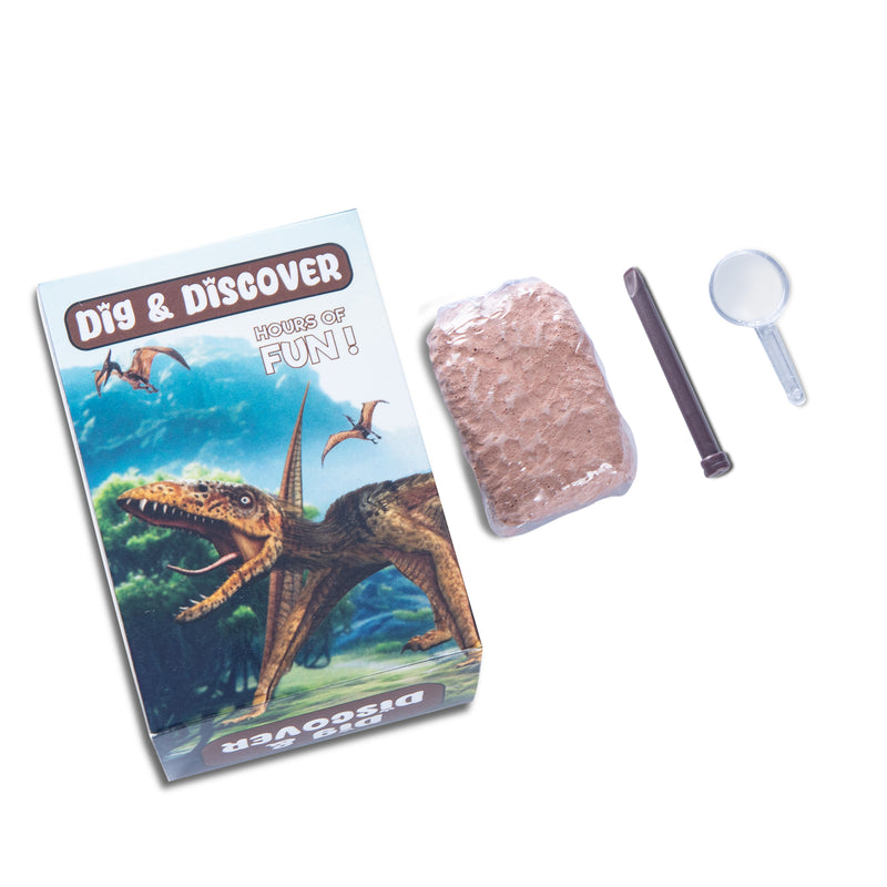 Dig & Discover - Box-Dinosaurus