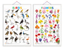 Set of 2 Birds and Flowers Early Learning Educational Charts for Kids | 20"X30" inch |Non-Tearable and Waterproof | Double Sided Laminated | Perfect for Homeschooling, Kindergarten and Nursery Students