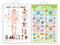 Set of 2 Parts of the Body and Life Cycle Early Learning Educational Charts for Kids | 20"X30" inch |Non-Tearable and Waterproof | Double Sided Laminated | Perfect for Homeschooling, Kindergarten and Nursery Students