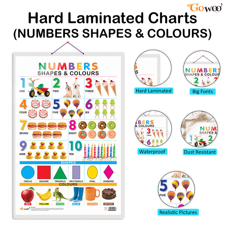 GOWOO - Numbers, Shapes & Colours