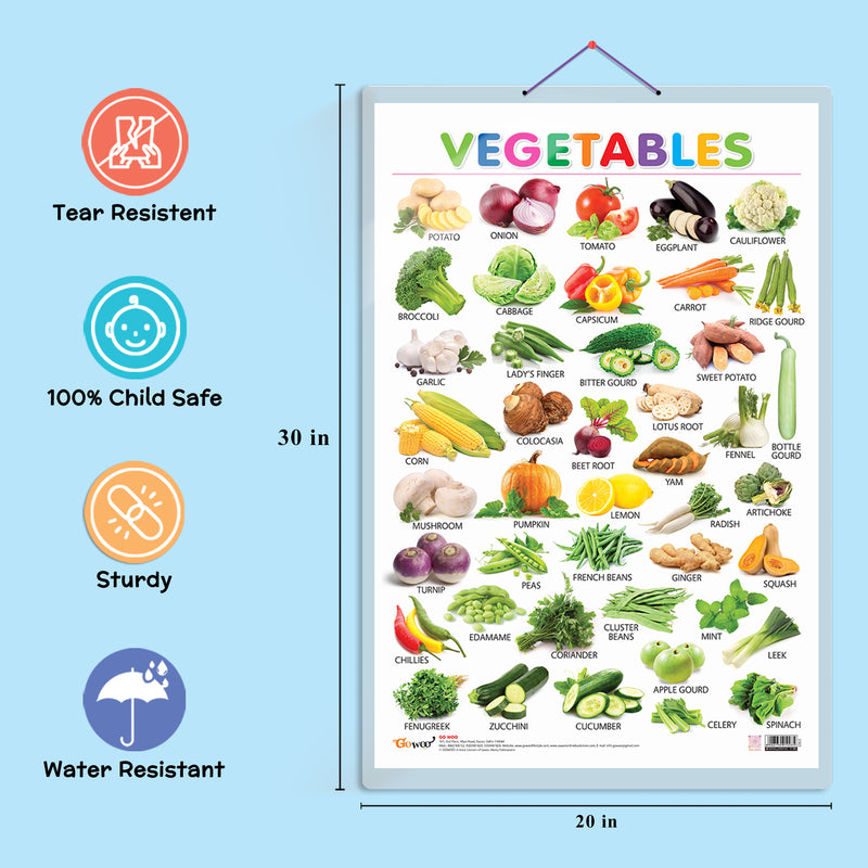 Set of 3 Alphabet, Fruits and Vegetables Early Learning Educational Charts for Kids | 20"X30" inch |Non-Tearable and Waterproof | Double Sided Laminated | Perfect for Homeschooling, Kindergarten and Nursery Students