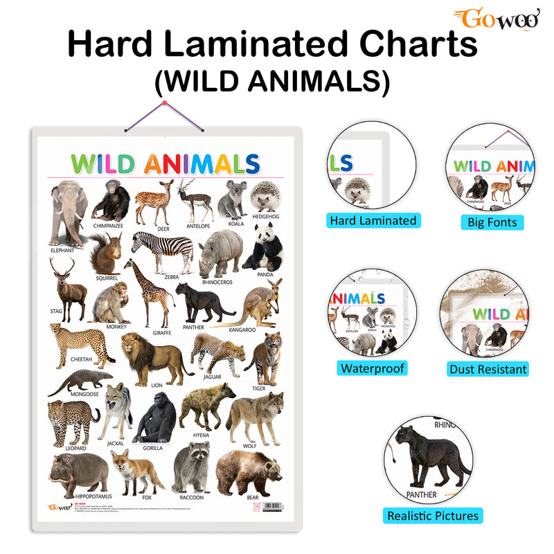 Set of 3 Alphabet, Fruits and Wild Animals Early Learning Educational Charts for Kids | 20"X30" inch |Non-Tearable and Waterproof | Double Sided Laminated | Perfect for Homeschooling, Kindergarten and Nursery Students