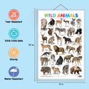 Set of 3 Alphabet, Fruits and Wild Animals Early Learning Educational Charts for Kids | 20"X30" inch |Non-Tearable and Waterproof | Double Sided Laminated | Perfect for Homeschooling, Kindergarten and Nursery Students